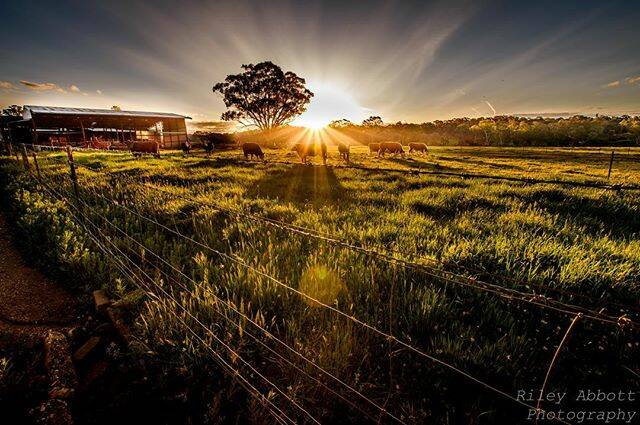 Today's Instagram #picoftheday is by @rileyabbottphotography - tag your weather pics #bendigoweather and we'll feature the best ones here.