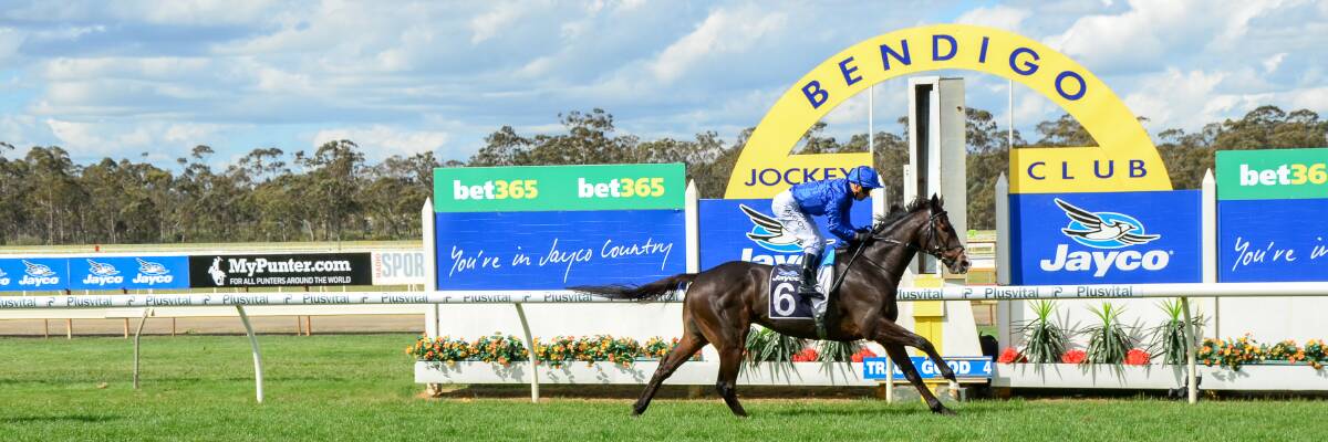 DOMINANT: Francis Of Assisi and Kerrin McEvoy win the Bendigo Cup. Picture: GETTY IMAGES
