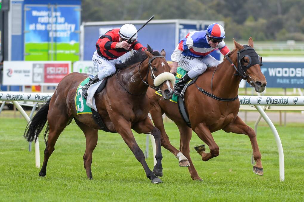 DING DONG BATTLE: Schneller, left, and Chamois Road go stride-for-stride in race seven on Bendigo Cup day. Picture: GETTY IMAGES