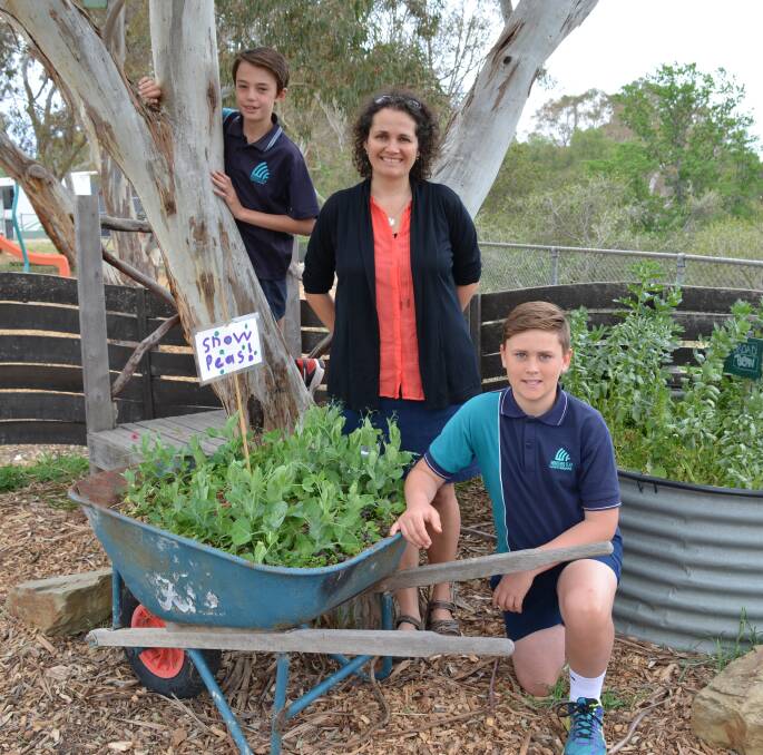 WINNERS: Year 4 student Riley Stuchbree, teacher Jeanette McMahon and Year 6 student Darcy McRostie at their Winters Flat Primary School garden. 