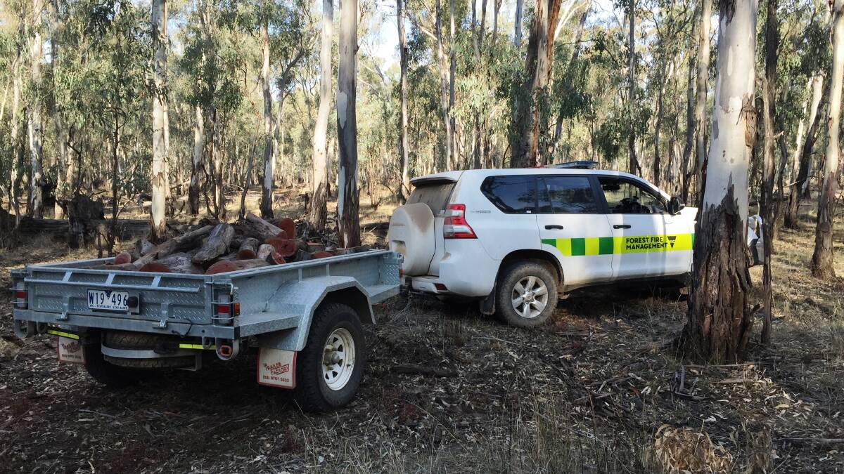DELWP and Parks Victoria staff patrol forests and National Parks to ensure firewood is removed in accordance with the relevant regulations.