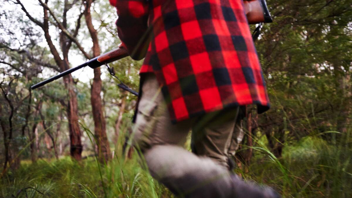 Two hunters have been fined after being caught at night with a gun inside deer habitat. Picture: FILE