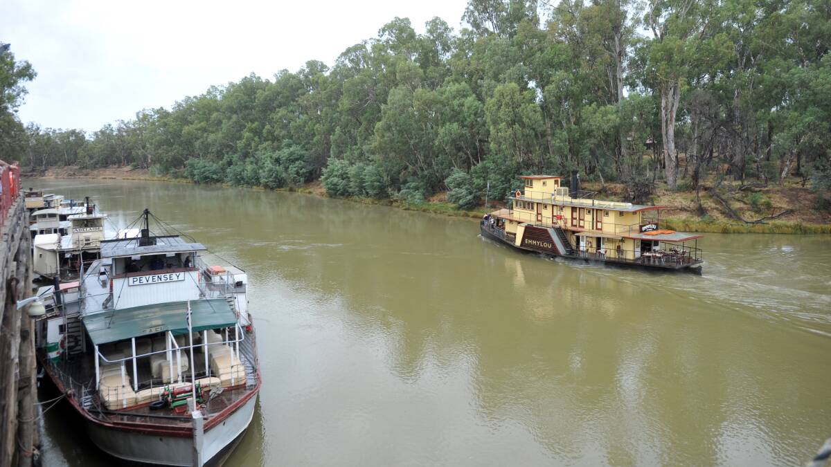 A paddle steamer passes the Port of Echuca. Picture: BILL CONROY