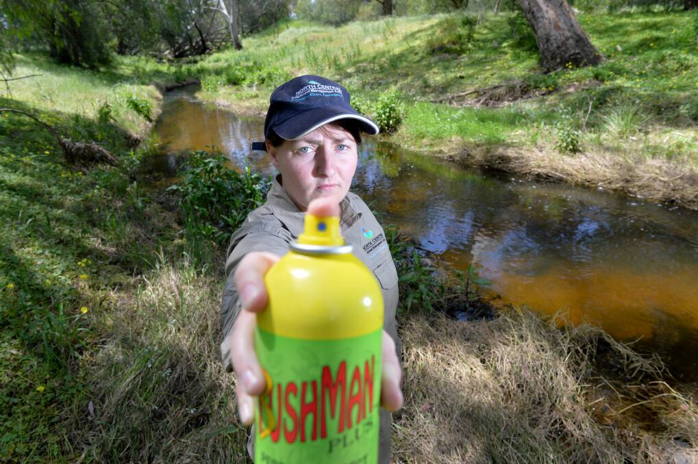 ANNOYANCE: North Central Catchment Management Authority catchment restoration officer Emma Wolters has never seen mosquito numbers so high. Picture: DARREN HOWE