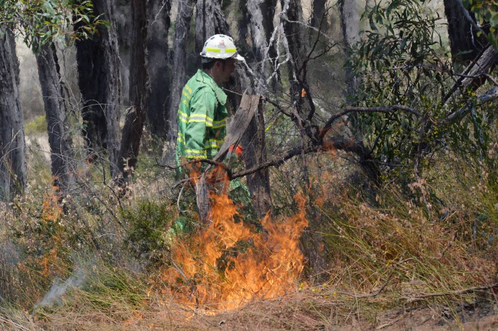 PREVENTION: Forest Fire Management Victoria and the CFA have begun the autumn planned burning program, but not in central Victoria. Picture: DARREN HOWE