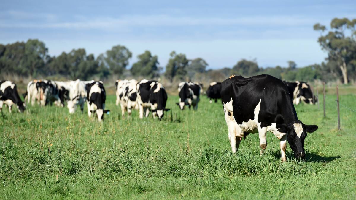 SUPPORT: The Coles supermarket chain has established a fund to support dairy farmers in the wake of recent price cuts.