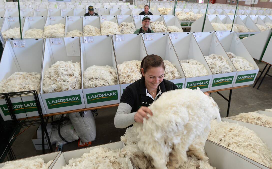 ASSET: Shannon Crowe prepares fleece ahead of last year's Australian Sheep and Wool Show, which represents a considerable economic benefit to the area. Picture: DARREN HOWE