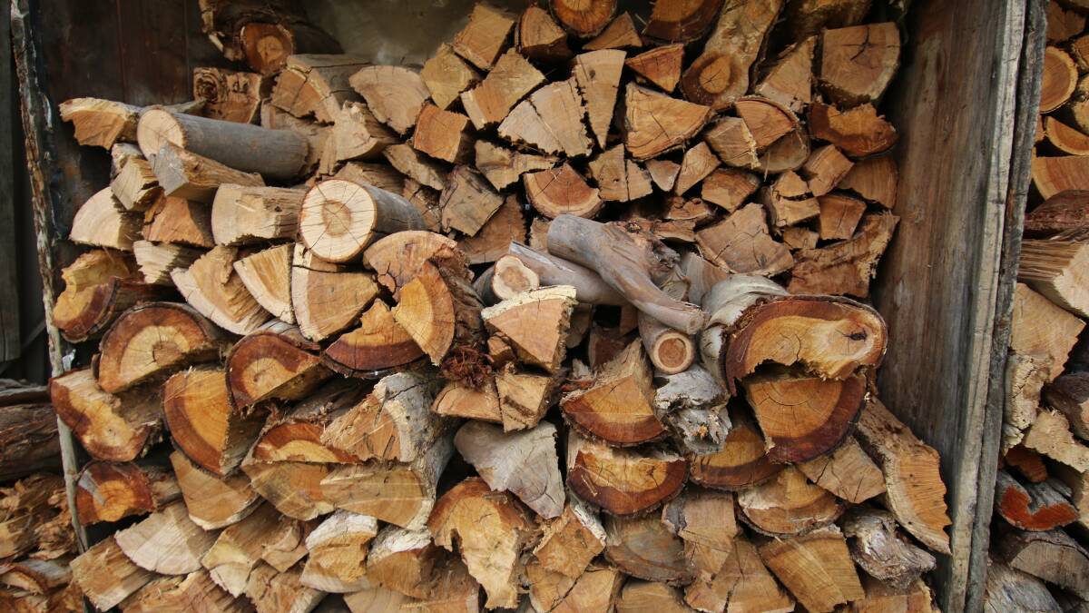 Firewood collection season opening soon