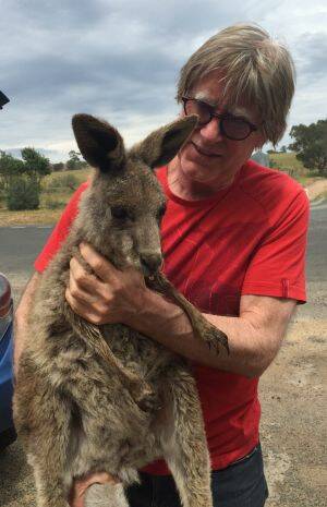 Marcus Ward with one of the kangaroos injured in the Lancefield fire.Picture: PASTORIA EAST WILDLIFE SHELTER