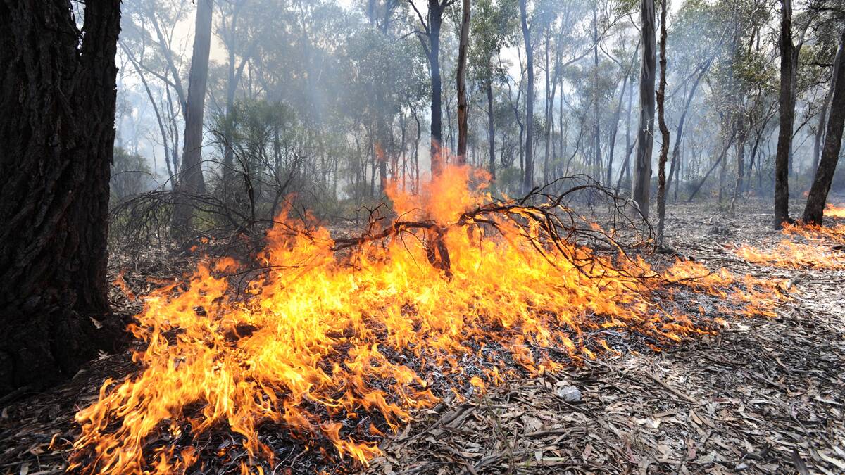 Parts of central Victoria subject to total fire ban