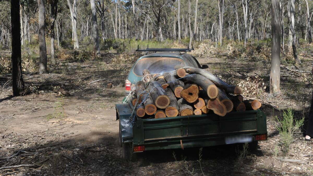 PREPARATION: The firewood collection season is about to start. Firewood can only be collected in designated areas and to certain limits.