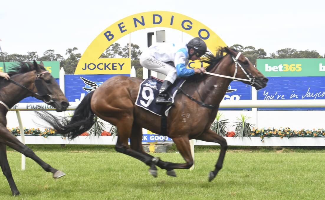 SPECIAL MOMENT: Bendigo jockey John Keating guides the Gus Philpot-trained She's Beneficial to an emotional win at the Bendigo Jockey Club's Christmas party meeting on Sunday. Picture: NONI HYETT