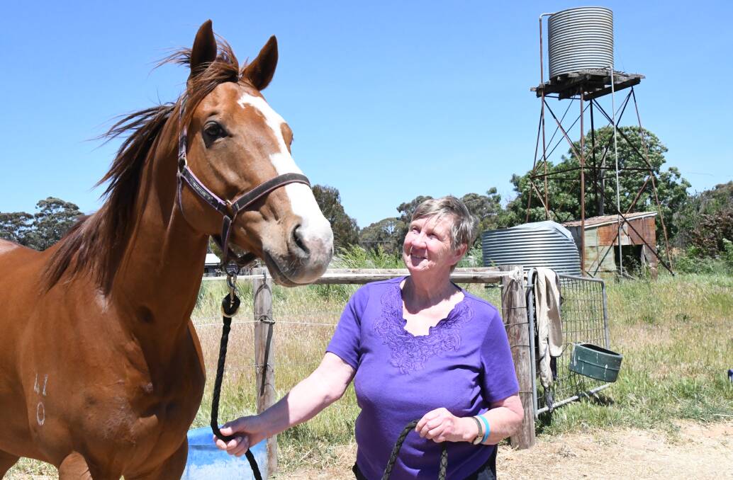 CONTENT: Aileen Vanderfeen on her East Bendigo property with The Flying Sun, who was purchased by his former owners for $162,000 as a yearling. The Bendigo scientist has temporarily taken over the training of five horses formerly trained by Brad Cole. Picture: KIERAN ILES