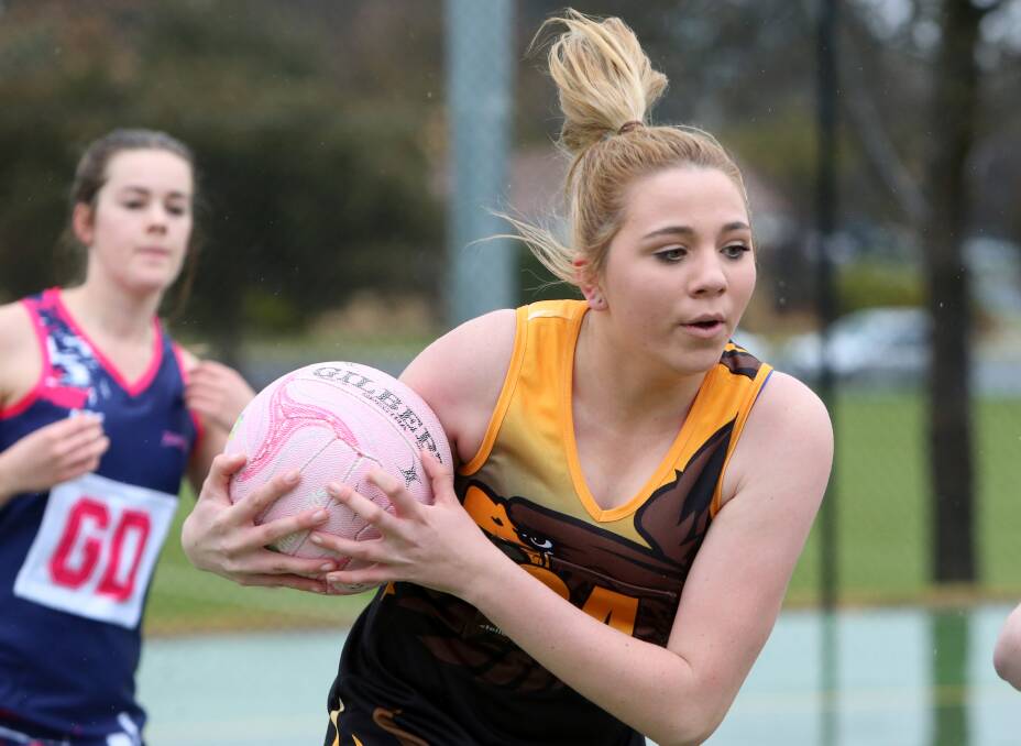 Falcons Netball Club will hold a registration day on Saturday, February 11.