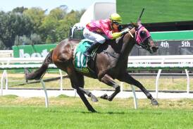 Firm As A Rock, ridden by Tom Prebble, wins at Kyneton last month. Picture by Brett Holburt/Racing Photos