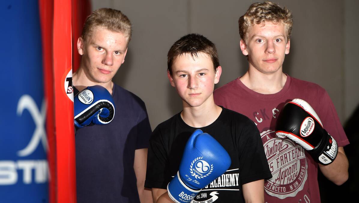THE GOOD FIGHT: Connor Stamm, Jake May and Vaughan Stamm are enjoying plenty of success in the boxing ring. Picture: NONI HYETT