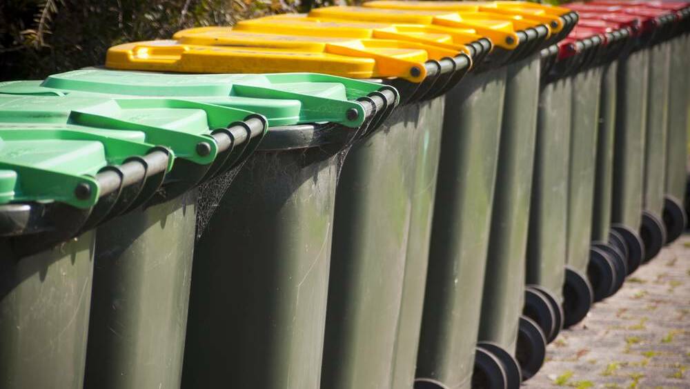 Council considers green waste trial
