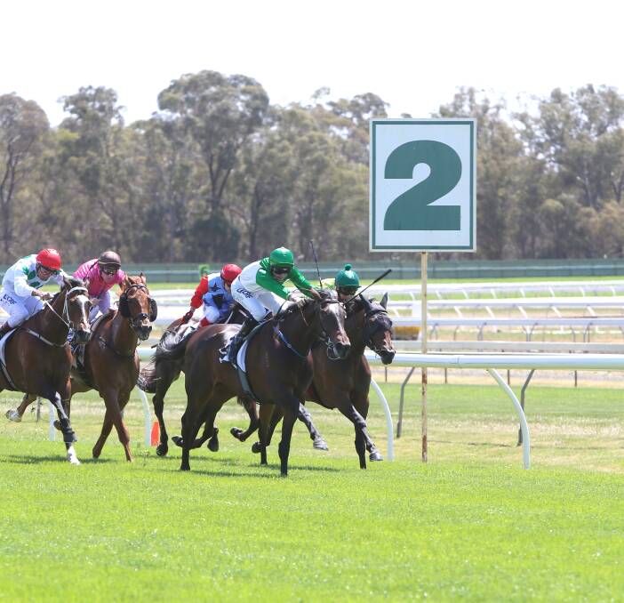 UPGRADE: More than a million dollars in improvements to training facilities at Bendigo Jockey Club have been welcomed by local trainers. Picture: GLENN DANIELS