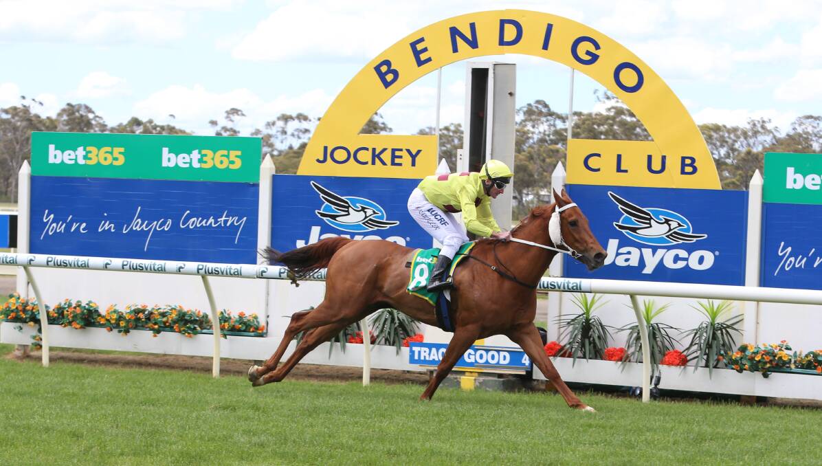 DASHING: Go Down, with Brad Rawiller in the saddle, blitzes his rivals on Bendigo Cup day. Pictures: GLENN DANIELS  and BRENDAN McCARTHY/GETTY