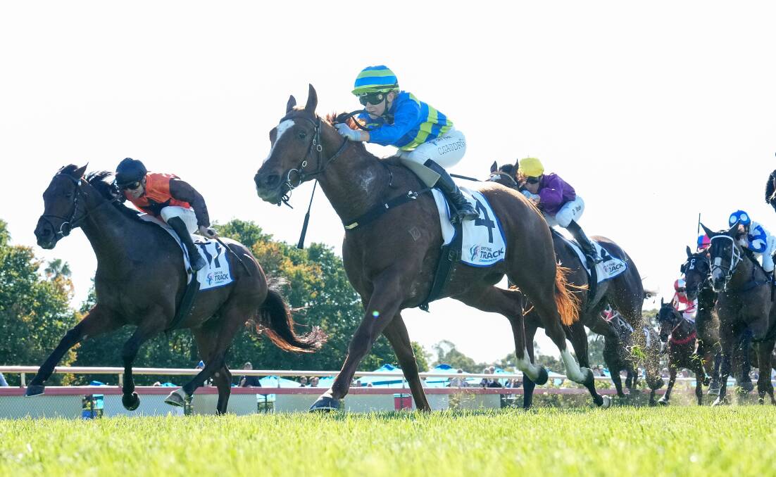 Senegalia, ridden by Celine Gaudray (inside), staves off the Arthur Pace-trained Colsridge to win the Off the Track Benchmark 84 Handicap at on Golden Mile day. Picture by George Sal/Racing Photos