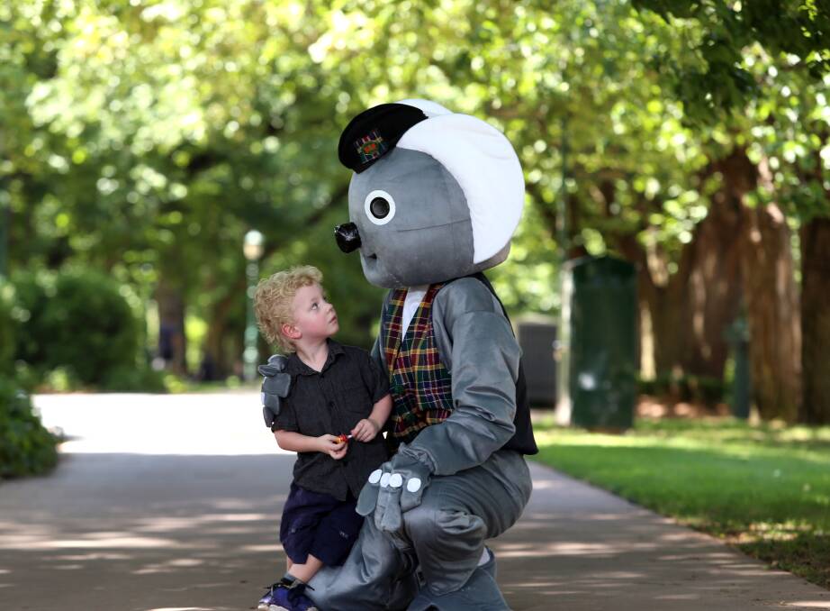 SAY CHEESE FOR MAC: Aramis Tamblyn and Big Mac the Koala meet in Rosalind Park. Picture: GLENN DANIELS