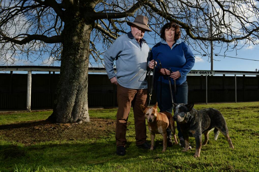DOG HOUSE: Fiona McCoy has applied for a planning permit to house her seized dogs and restart her business in Bendigo.  