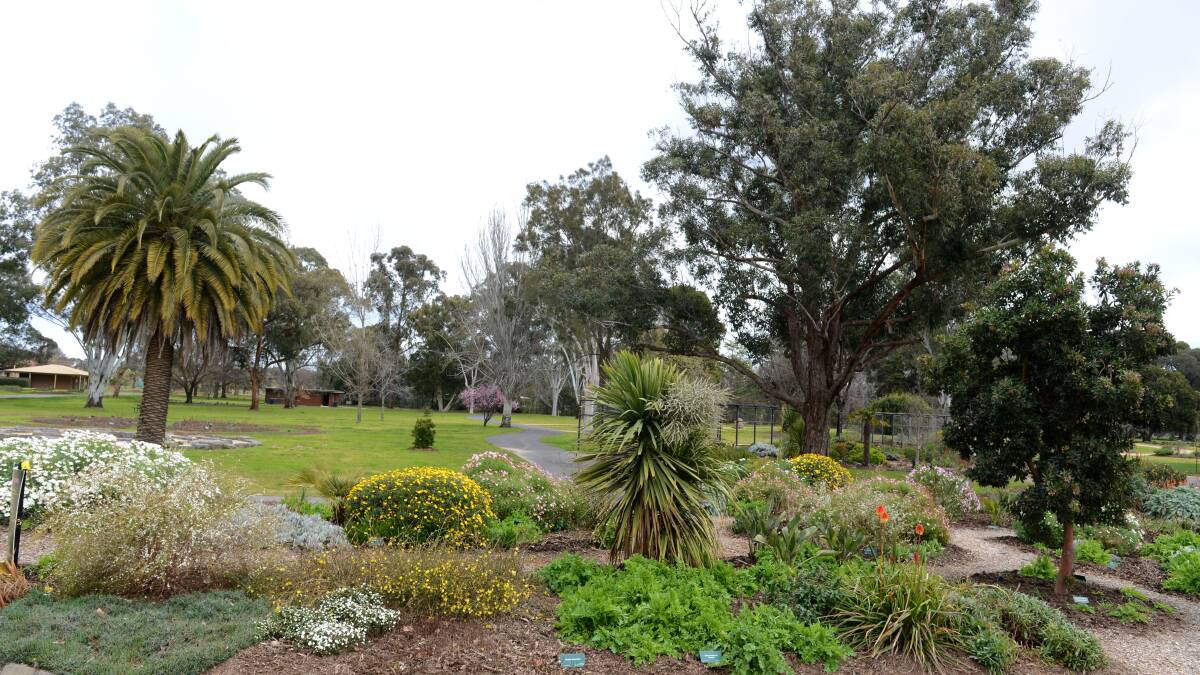 BEAUTY: Bendigo Botanic Gardens has been identified as a future priority by Bendigo Advertiser readers.