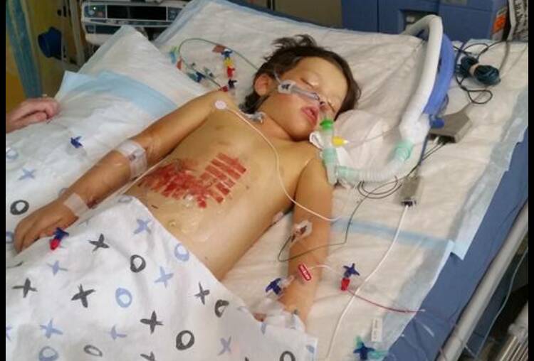 Carry on, Roman: organ donor saves boy’s life