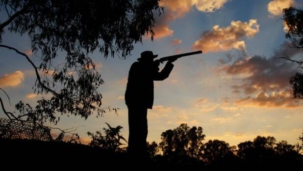 Shooters and animal activists both in a flap over new duck hunt rules