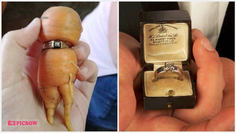 Lost engagement ring found on carrot 13 years later