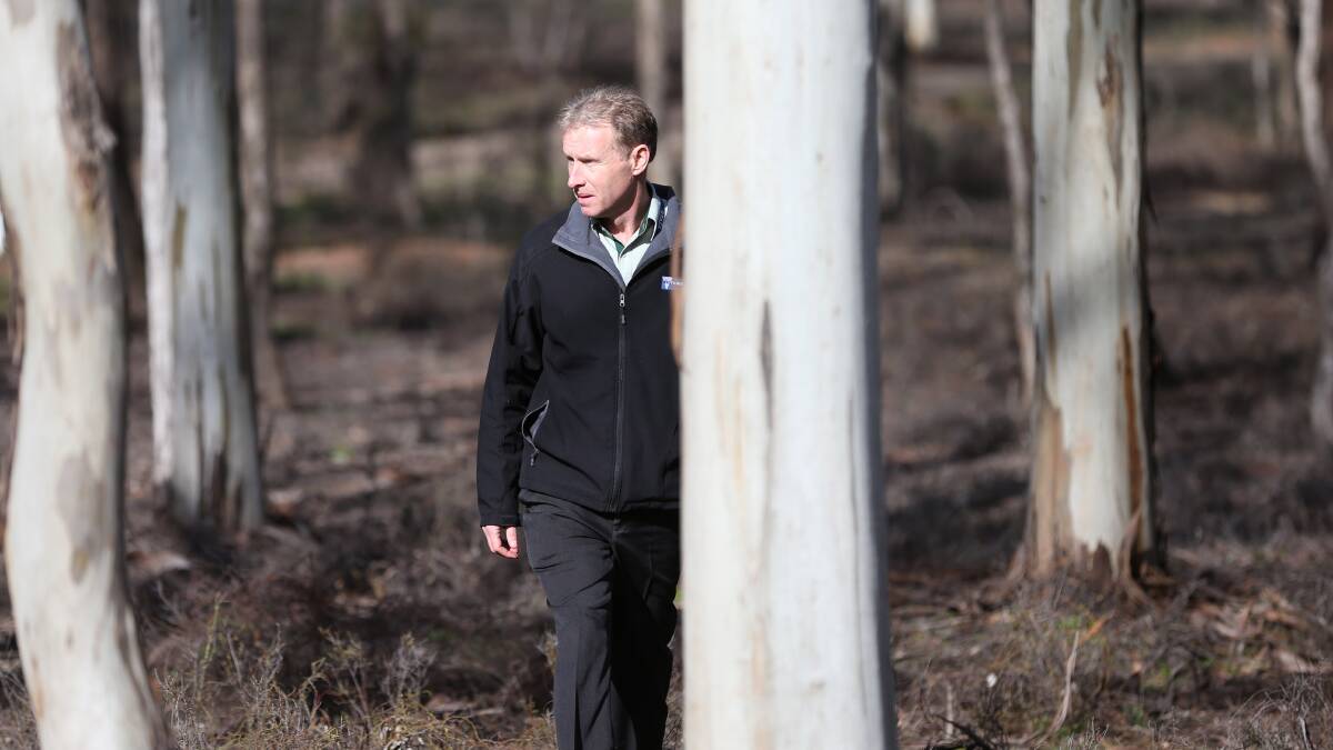 Competing interests in Bendigo’s forests