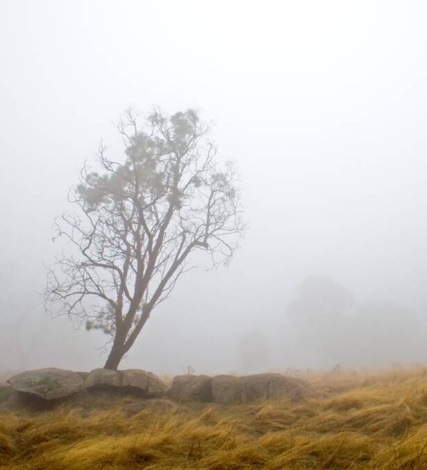 HIT AND MIST: The Bureau of Meteorology has been a little less than on song during April, their dry forecast dramatically contradicted by downpours.