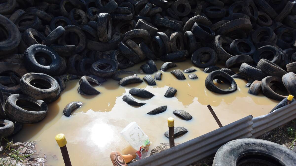 Marathon effort to clean up tyre yard | Photos