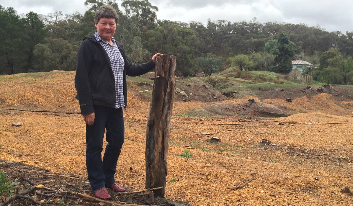 MARIE JONES: 'We need the federal government to acknowledge the work of local communities in protecting the environment by funding them – landcare only exists if they have a bit of funding'. Pictures: JOSEPH HINCHLIFFE