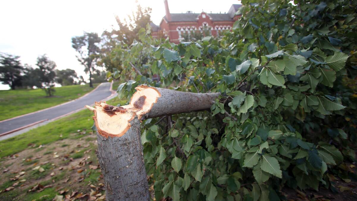 FURIOUS: A reader is angry about the destruction of trees in central Bendigo.