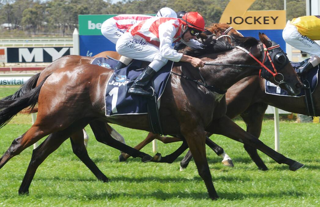 CONSISTENT PERFORMER: Comeback running second at the Bendigo Jockey Club in March. Picture: DARREN HOWE