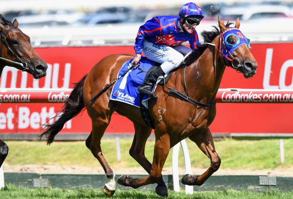 TOP CLASS: Brad Rawiller urges Mahuta to the finish line to win the Autumn Stakes at Caulfield on Saturday. Picture: GETTY IMAGES