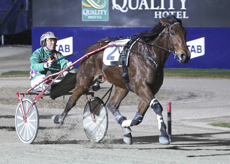 ALL CLASS: Maori Time is returning to Lord's Raceway to defend his Maori Mile crown. Picture: STUART McCORMICK