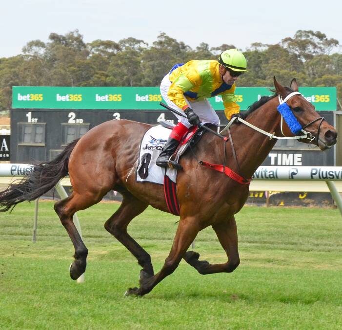 TOP RUN: Welcome Stryker, with Dean Yendall in the saddle, cruises to victory over 2400m at the Bendigo Jockey Club on Wednesday. Picture: GETTY IMAGES