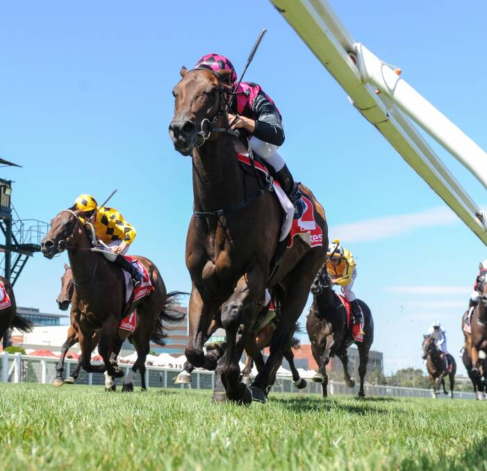 CLASSY VICTORY: Bendigo galloper Glenrowan Prince, with Jack Martin in the saddle, takes out the John Moule Handicap at Caulfield on Saturday. Picture: GETTY IMAGES