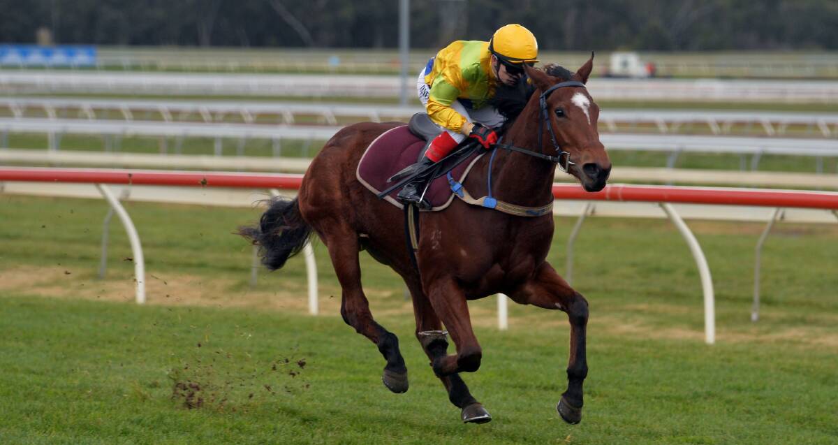 TESTING START: The Big Dance and jockey Dean Yendall will come up against some of Victoriam's best three-year-old sprinting fillies on Saturday. Picture: BRENDAN McCARTHY