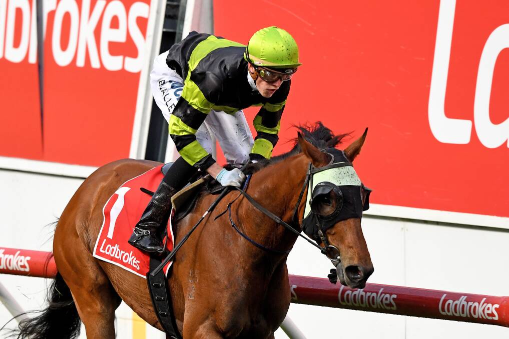 TWO IN A ROW: Jockey Ben Allen and Bendigo stayer Weave cruise to victory at Moonee Valley on Friday night. Picture: FAIRFAX MEDIA