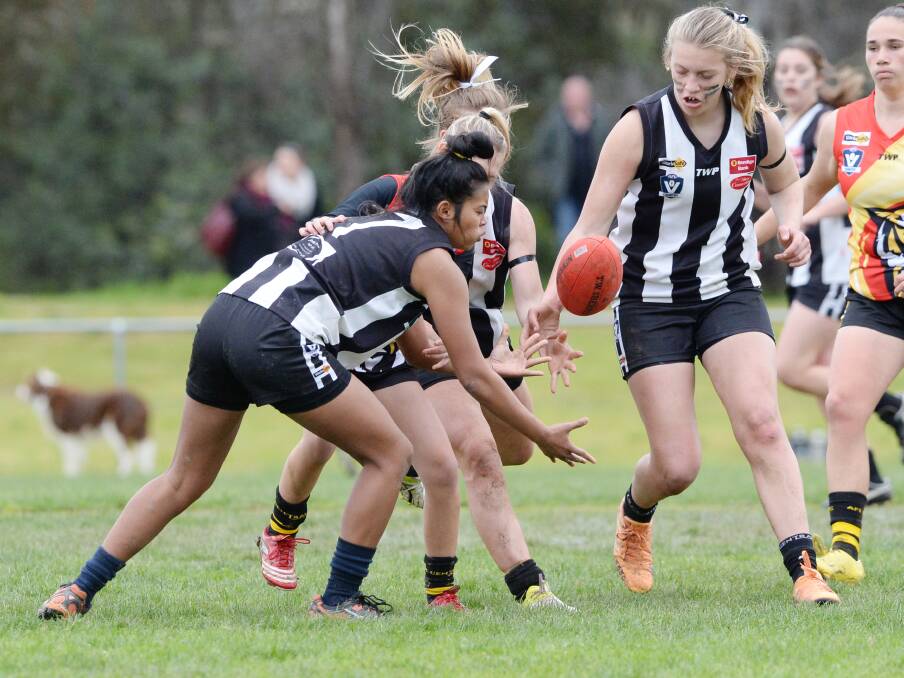 ROUGH DAY: Castlemaine was undefeated before Sunday's grand final clash with Woorinen.