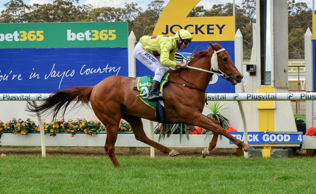 Go Down couldn't have been more impressive in winning on Bendigo Cup day in 2016.
