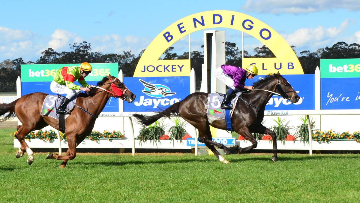 The Chairman proves too good for Bendigo galloper Bee Jay Zed in the final event. Picture: GETTY IMAGES