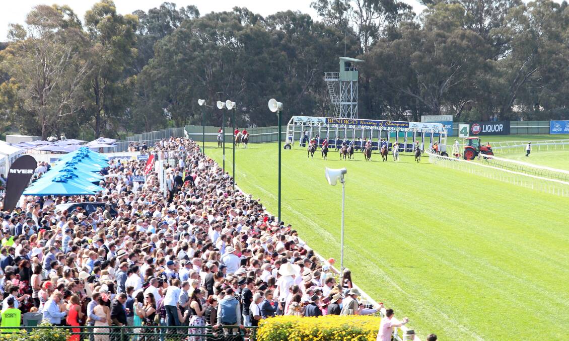 VISION: The Bendigo Jockey Club is developing a plan to increase the number of horses trained on its White Hills track. Picture: DARREN HOWE
