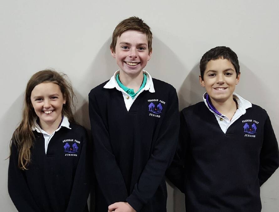 WELL PLAYED: Neangar Park junior golfers Shanae Aisbett, Ted Spark and Dylan Weston. Picture: CONTRIBUTED