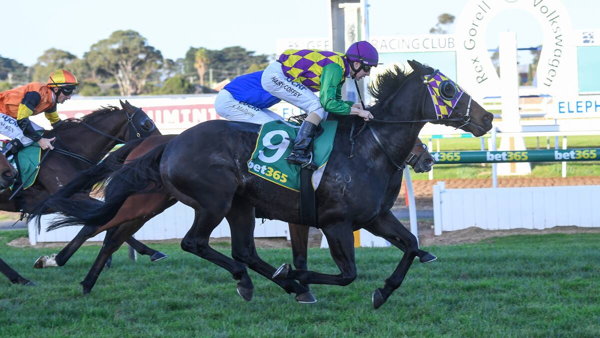 GRAND CAMPAIGNER: Rouen wins his 10th career race at Geelong on Friday under the urging of jockey Harry Coffey. Picture: GETTY IMAGES