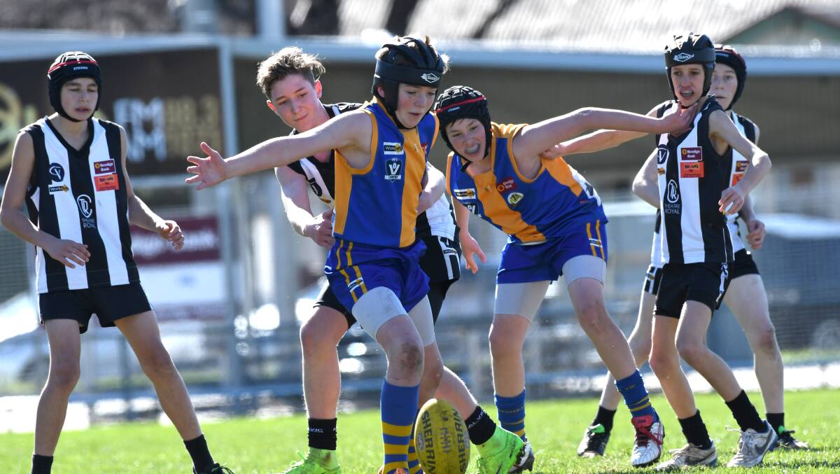 PIES AND DOGS: Action from the Castlemaine versus Golden Square under-14 match on Sunday. Picture: NONI HYETT