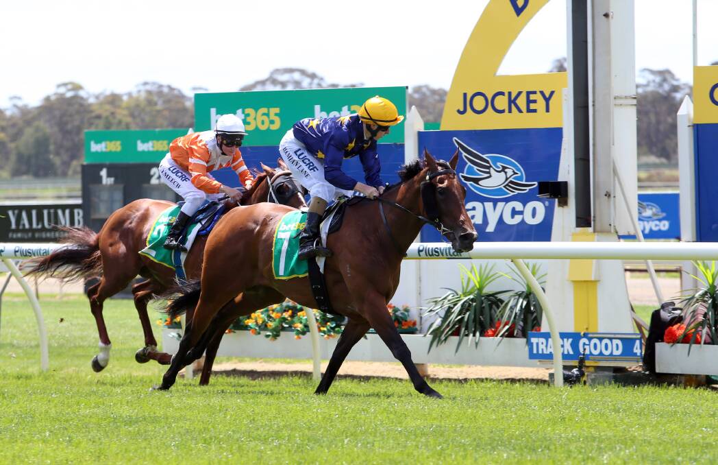 TOP RIDE: Want To Rock and jockey Damian Lane win race three on Bendigo Cup day. Picture: GETTY IMAGES
